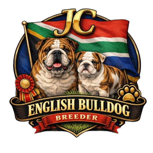 JC Royal English Bulldog Breeder